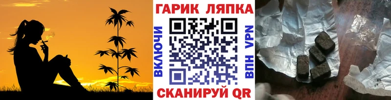 ГАШИШ индика сатива Княгинино