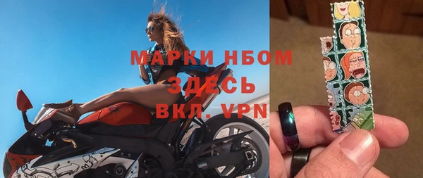 прущие грибы Мегион