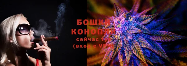 прущие грибы Мегион