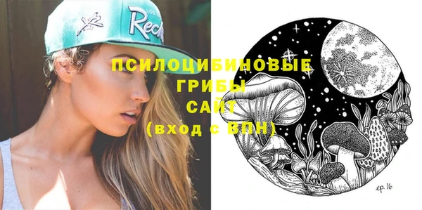 стафф Медвежьегорск