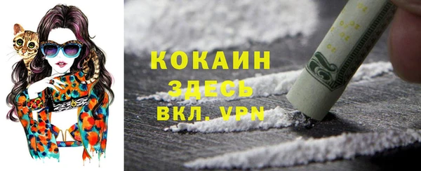 стафф Медвежьегорск